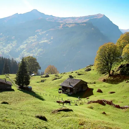 Apartment Almisgaessli By Interhome *