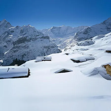 Apartment Chalet Almisgaessli By Interhome * Grindelwald